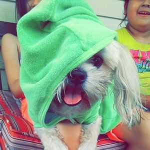 Meet your Posher, Lidia